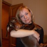 Sacramento Pet Sitter Seeking Work