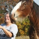 Qualified Dog Sitter in Wake Forest