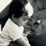 Employing a Skilled Sitter in Newmarket