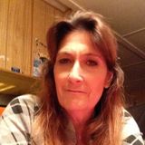 Seeking a house or pet sitting position for hire
