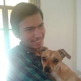 Searching for a pet sitting/dog walking opportunity in Isla Vista or Goleta, Ca.