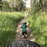 Part-time Nanny Position