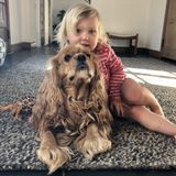 Dogsitter needed