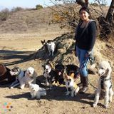 Dog Walker/Trainer/SitterHoliday AvailabilityHas references