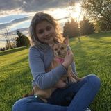 Harvard, Illinois Pet Trainer.
Galilea Herrera is my name, 18 years old and graduate.