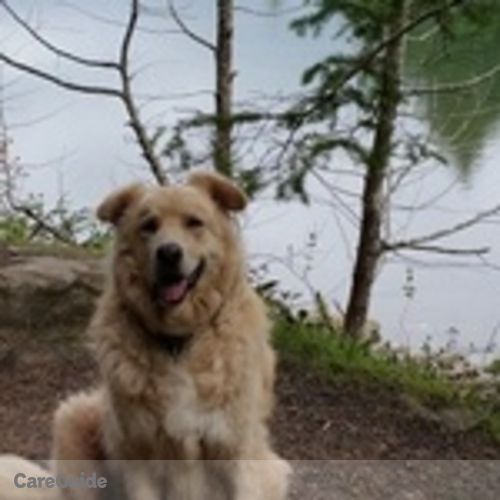 Pet Care Provider Nell Burns's Profile Picture