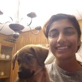 Dedicated House Sitter in Montgomery
