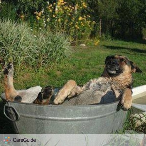 Pet Care Provider Dian S's Profile Picture