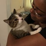 My name is Kiera, and I have about two years experience in dog walking, sitting and overnight sitting.