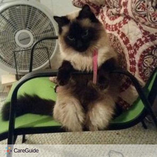 Pet Care Provider Samantha B's Profile Picture