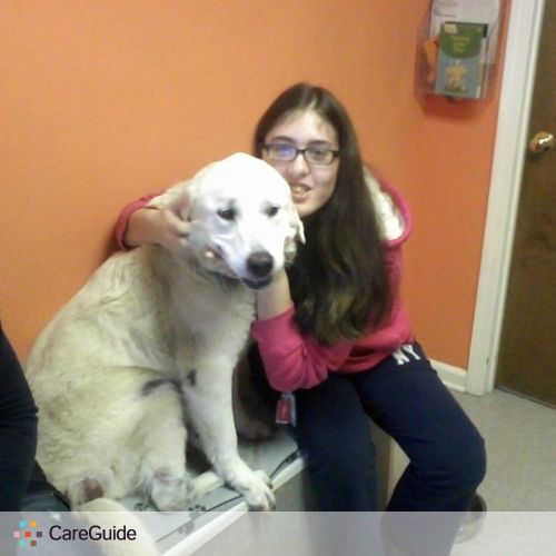 Pet Care Provider Noelle M's Profile Picture