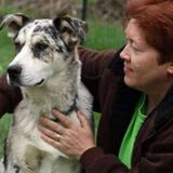 Experienced Dependable Sitter serving Belmont & local areas - Arlington, Cambridge, Newton, Somerville, Waltham, Watertown