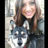My name is Kelsi and I am looking for House Sitter Opportunities in the area! I am reliable and adore animals!
