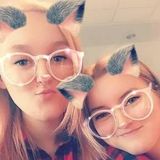 Qualified Cat Sitting Professional in Evansville, Indiana