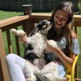 Experienced Professional Estate Manager and House Sitter