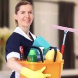 Professional Home Cleaner