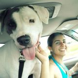 Experienced Pet Care Provider! Lots of References