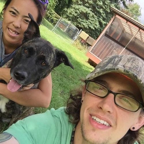 House Sitter Provider Amanda Textor's Profile Picture