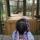 Need sitter for 5 year old 6pm-7am prefer college female student