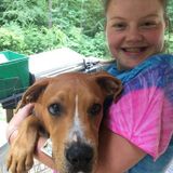 Interviewing For a Animal Sitting Opportunity in Lexington