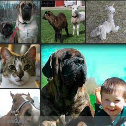 Pet Care Provider Sarah D's Profile Picture