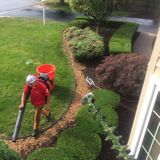 Saucedo Landscape Services