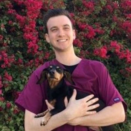 Pet Care Provider Colin J's Profile Picture