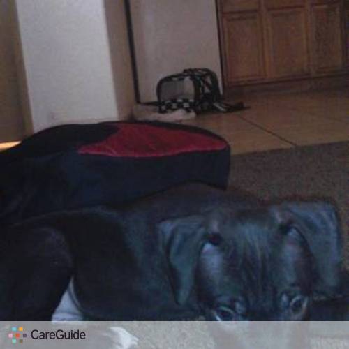 Pet Care Job Victoria K's Profile Picture