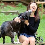 Hi my name is Hailey and I would love to take care of your furry friends!