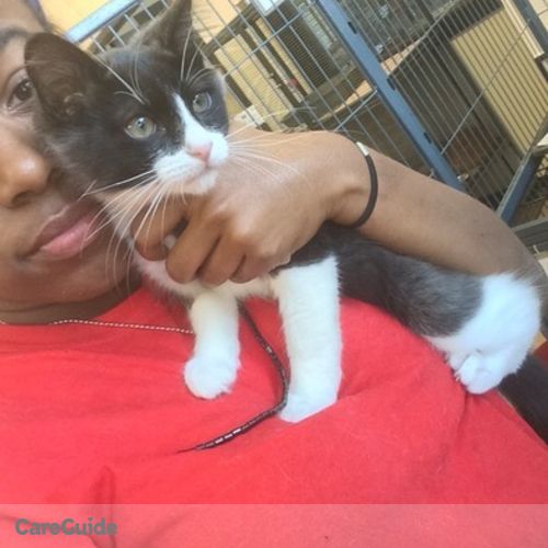 Pet Care Provider Precious W's Profile Picture
