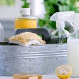 Available: Professional Housekeeper in New Bern