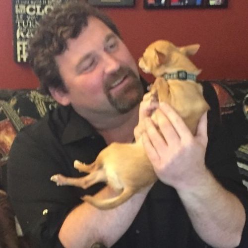 House Sitter Provider Vladislav B's Profile Picture
