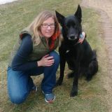 Flexible Pet Sitter in Hamilton