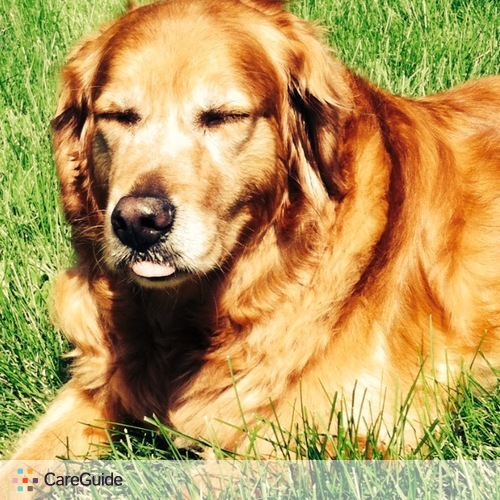 Pet Care Provider Ashley Schaefer's Profile Picture