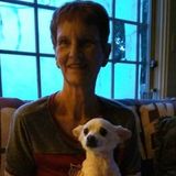 Placerville Animal Lover Seeking Job Opportunity