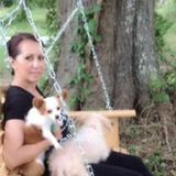 Interviewing For Bellville Dog Trainer Opportunity