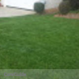 E.Z. Lawn Service "Cut Your Lawn Like It's My Own"