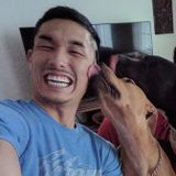 Experienced Dogsitter Available today!