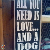 In Home Dog Boarding