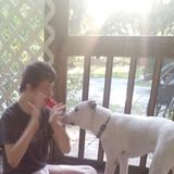 Reliable Pet Care Provider in Hubert