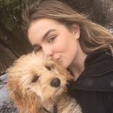 Hello! I am a Georgetown based dog sitter who is looking to offer extra help around the holidays!