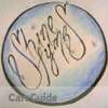 Shyne Tymes Home and Car Cleaning Services.