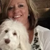 Overnight Pet Care and House Sit Offered