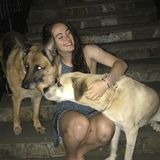College student that misses her dogs in Connecticut