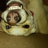 Willing To Do Just About Anything That Fits Your Animals And Your Own Needs!