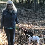 Doggie day cate- day and overnight