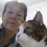 For Hire: Reliable and mature Pet Sitter in Waterbury, Vermont