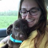 My name is Natalie & I love dogs more than anything. Caring for animals is my passion and I want to help you care for yours.