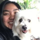 Lover of animals