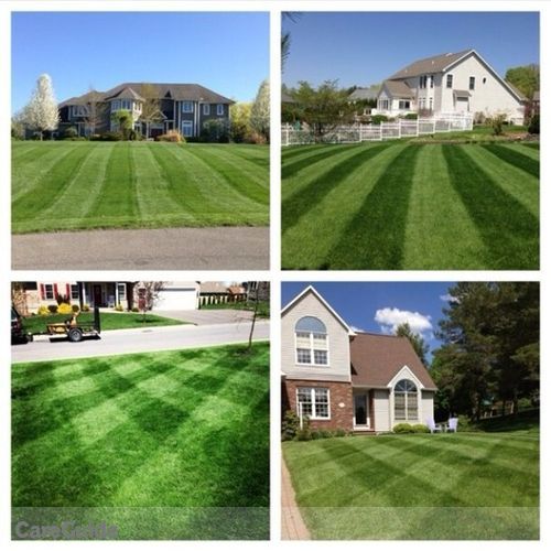Landscaper Job Vincent B's Profile Picture